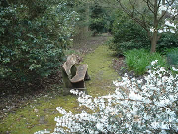 My Favourite Garden Pictures Bench